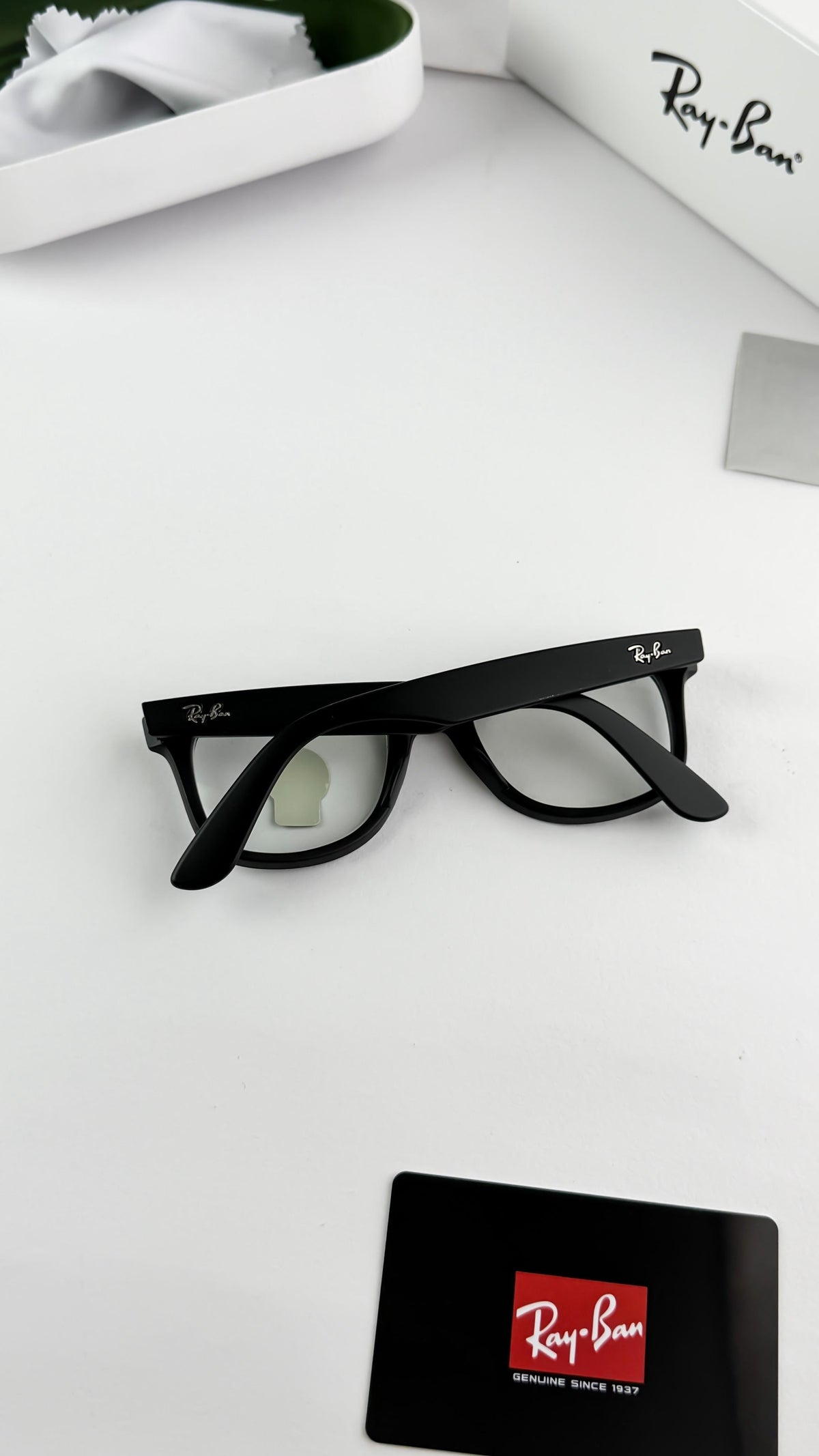 Ray Ban  Sunglass